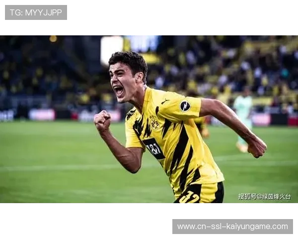 欧洲观察专栏:乒乓德甲俱乐部商业破局的关键因素,德国乒乓球联赛收入 欧洲观察专栏:乒乓德甲俱乐部商业破局的关键因素,德国乒乓球联赛收入